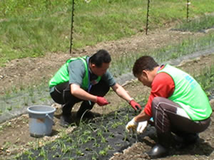 120622_volunteer_06.jpg