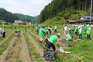 120820_volunteer_04.jpg