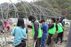 130503_volunteer_05.jpg