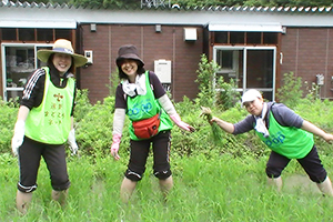 130621_volunteer_05.jpg