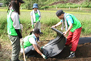 130913_volunteer_03.jpg