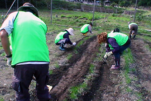 131011_volunteer_03.jpg