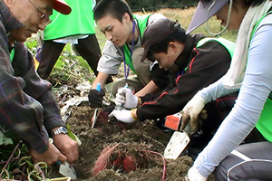 131011_volunteer_07.jpg