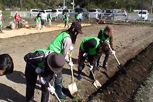 131101_volunteer_02.jpg