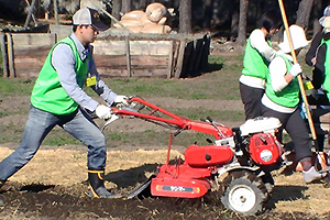 131101_volunteer_03.jpg