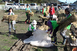 131101_volunteer_04.jpg