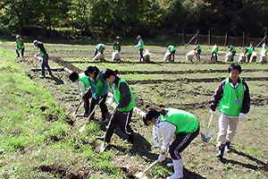 131101_volunteer_05.jpg