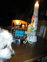 140707_lightdown_04.jpg