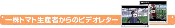 一株トマト生産者からのビデオレター