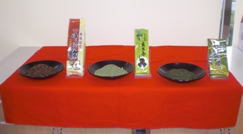 chachachahpogfpgoai.JPG