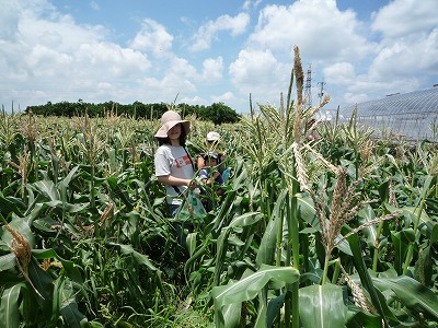 090716kinokawa-01.jpg