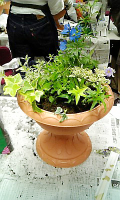 info0520_1.jpg