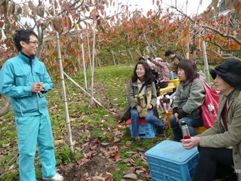 seisannshnaohanasimoku.JPG