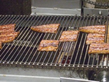 nagareruunagi.jpg