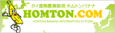 タイ産無農薬栽培ホムトンバナナ