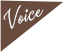 Voice