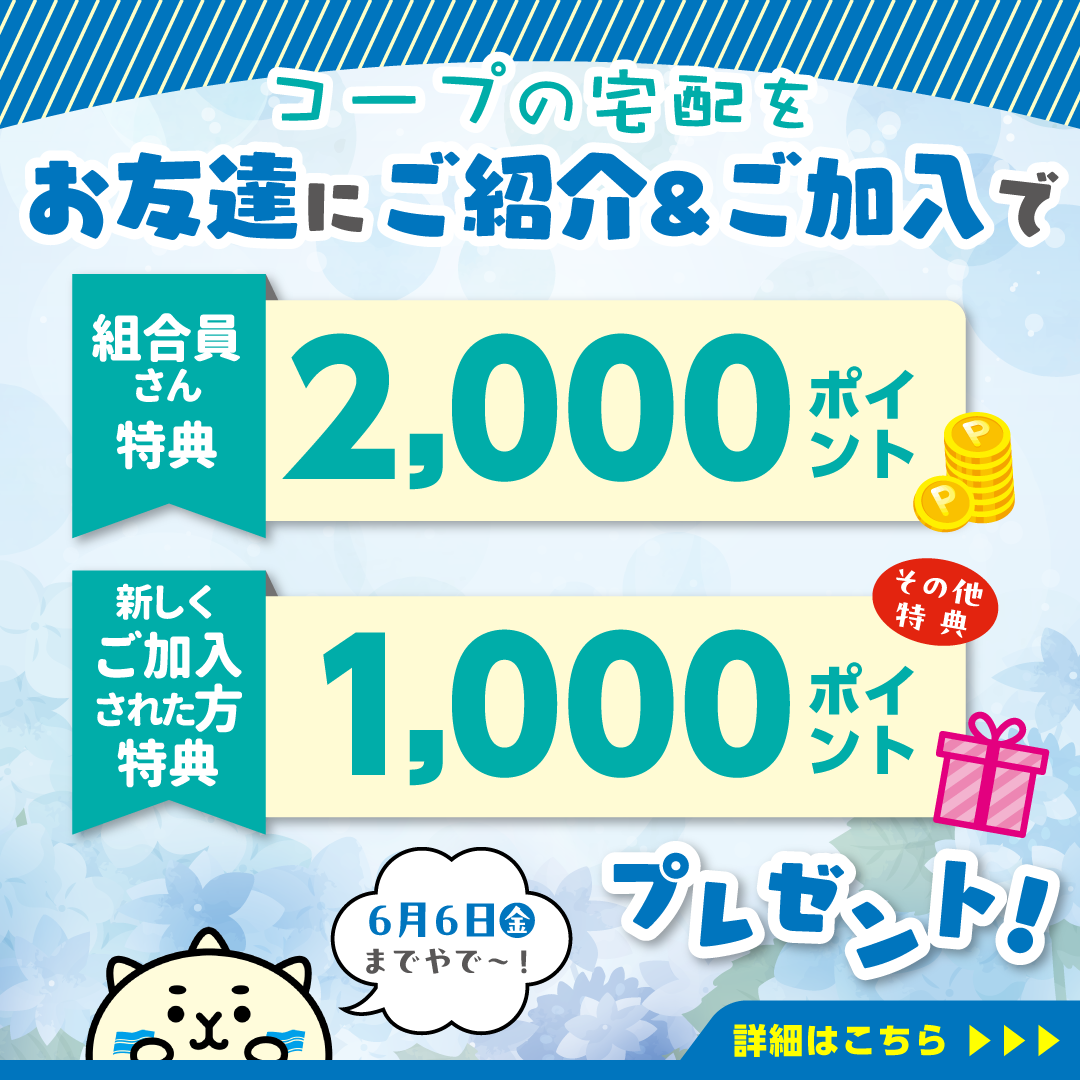 お友達紹介