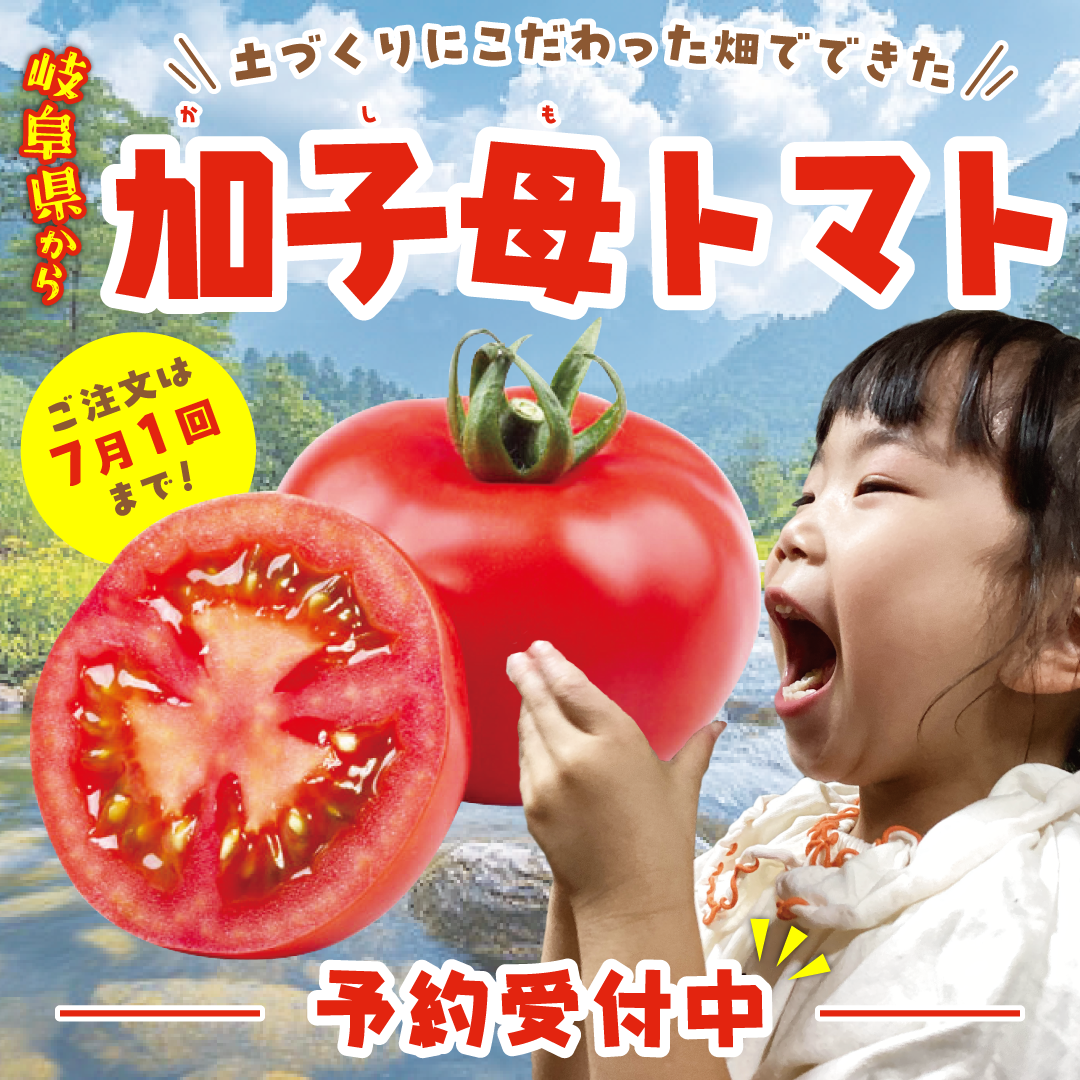 加子母トマト