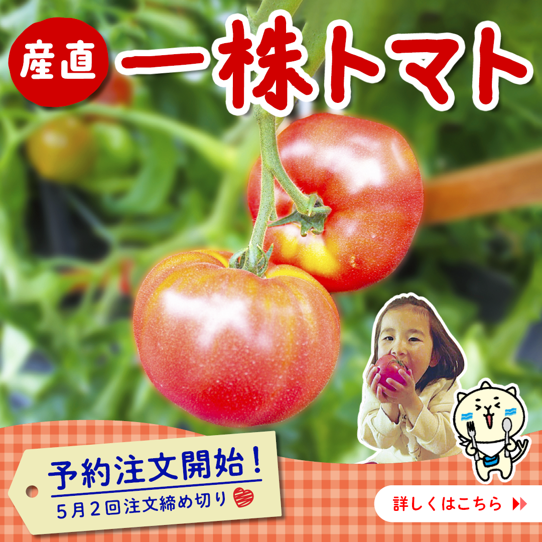 一株トマト予約スタート