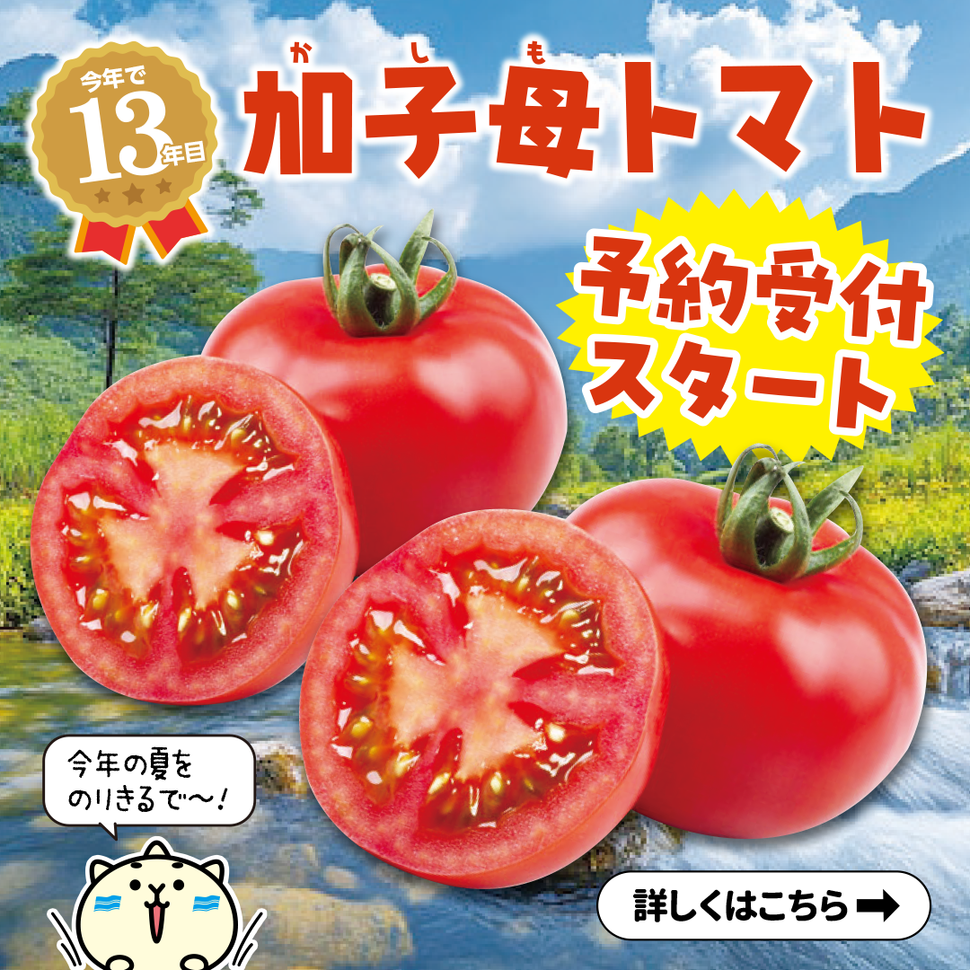 加子母トマト予約スタート