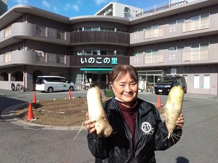 202602daikon4.jpg