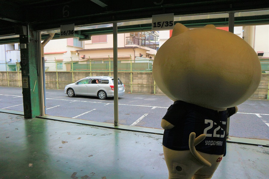 0714fooddrive1.JPG