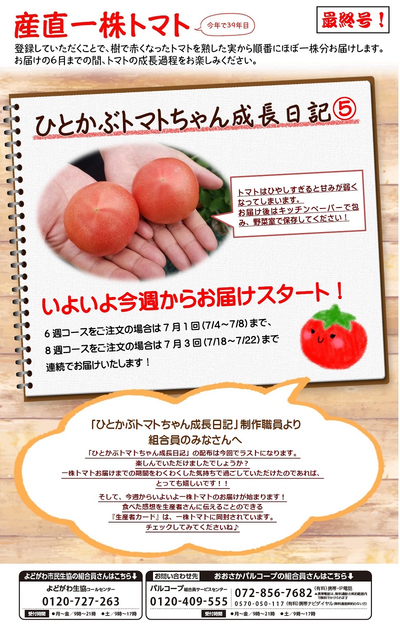 2022061tomatonikki.jpg