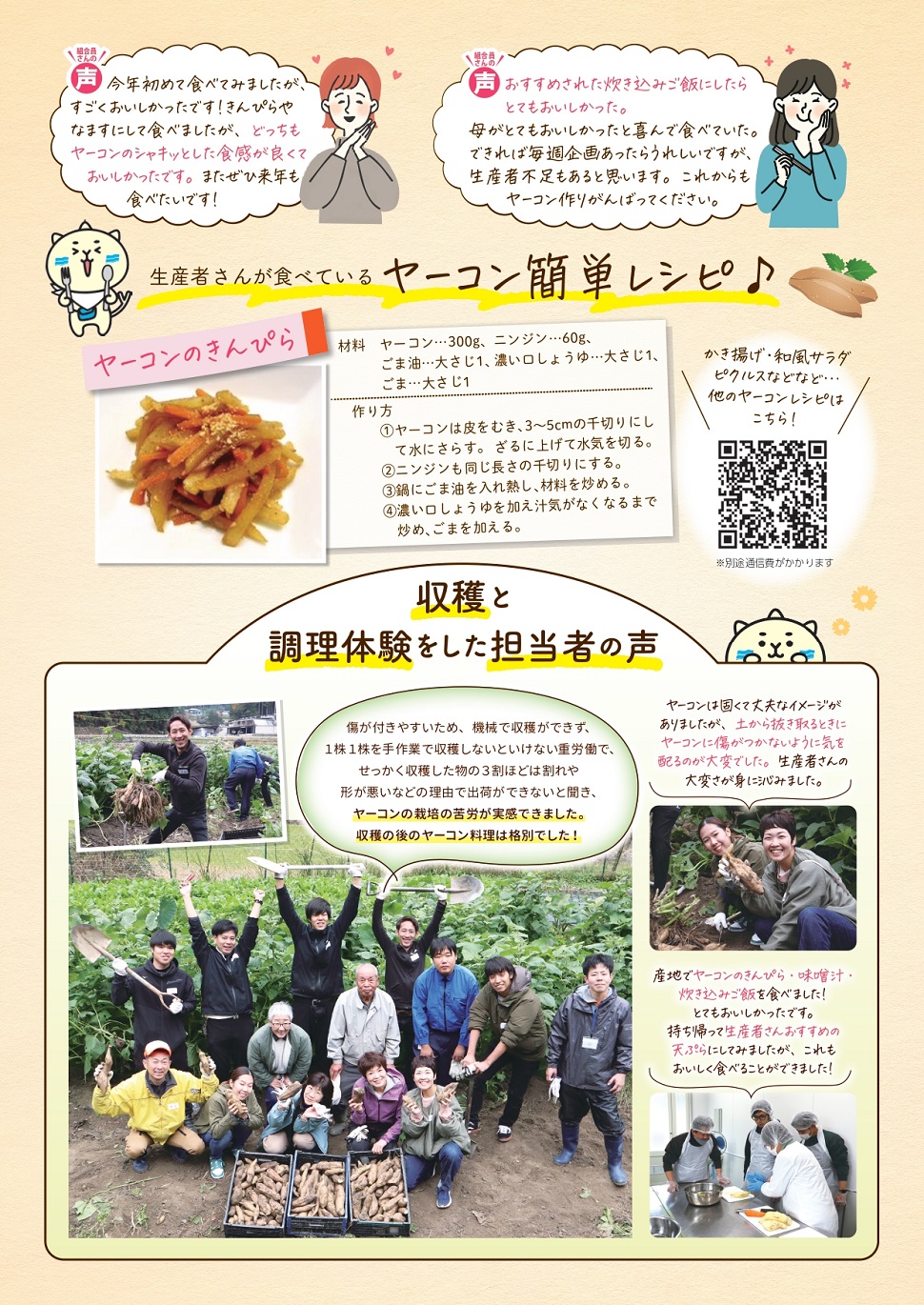 年に1度の特別企画☆＞12月2回企画・豊能町産ヤーコン | 生協からの