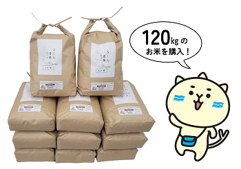 202412komeyodo.png