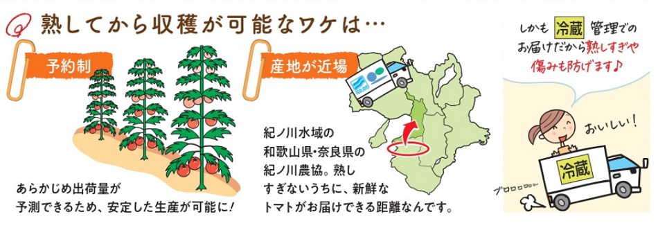 2025.hitokabukodawari2.png