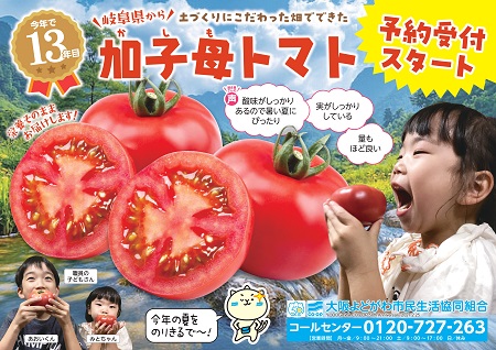 今年で13年目☆＞加子母トマト ご予約受付中 | 生協からのお知らせ