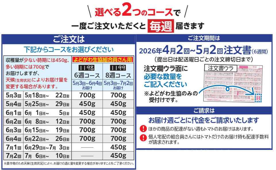 トマト様オーダーページ 今年で43年目☆＞産直一株トマト 予約受付中！ | 生協からのお知らせ