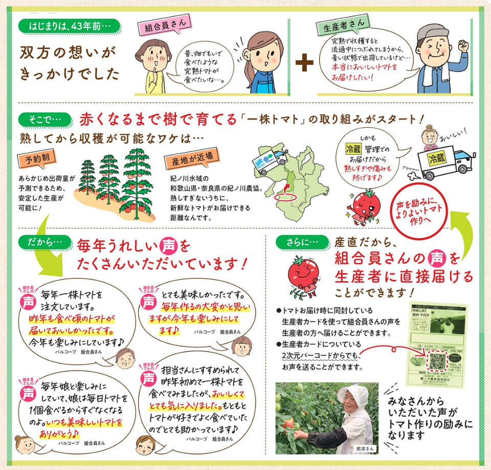 今年で43年目☆＞産直一株トマト 予約受付中！ | 生協からのお知らせ