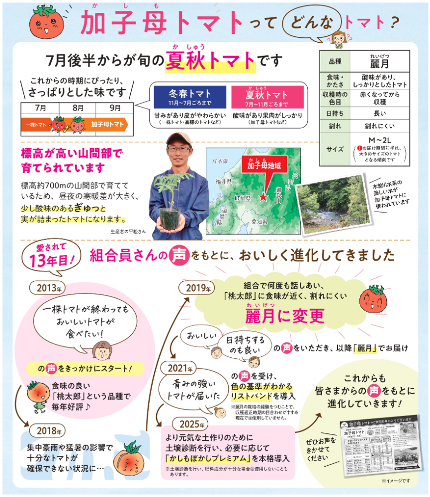 今年で13年目☆＞加子母トマト ご予約受付中 | 生協からのお知らせ