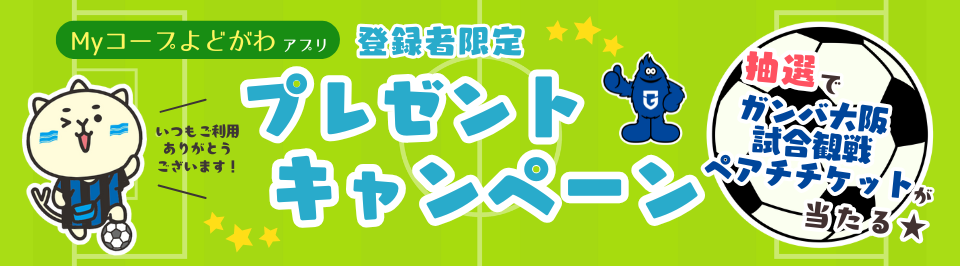 250804bamba_bn.png