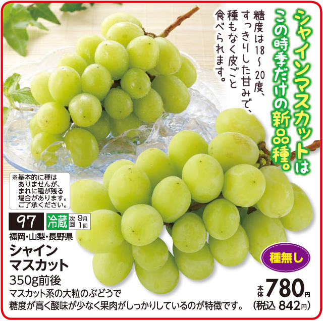 8月5回おすすめ】この時期だけの新品種！シャインマスカット