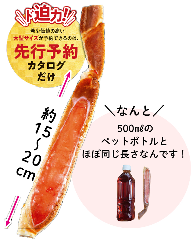 2025年度 お正月「先行予約」ご案内（宅配） | 生協からのお知らせ