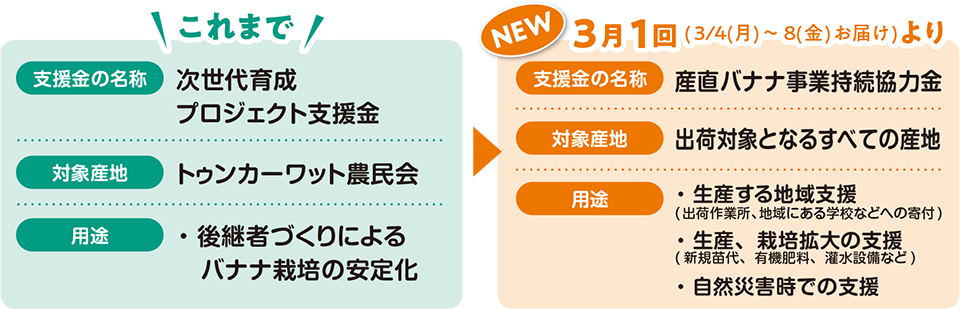 ショーベタ専門店 よこはま金魚HM ホワイトファンシーa8018